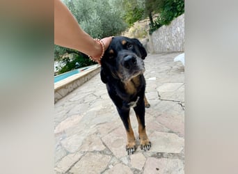 BODIN sucht Alterswohnsitz