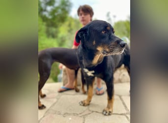 BODIN sucht Alterswohnsitz