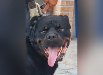 Rio – endlich runter vom Abstellgleis -