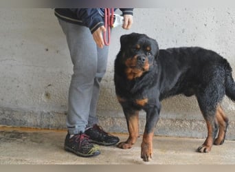 Anoop - Nichts, absolut nichts...