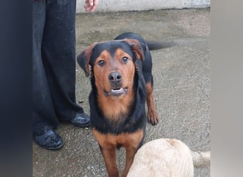 Bertone: trotz allem: er liebt Menschen über alles