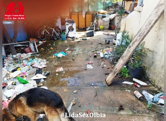 Bertone: trotz allem: er liebt Menschen über alles