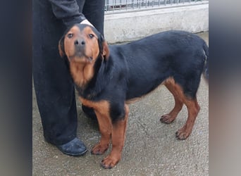 Bertone: trotz allem: er liebt Menschen über alles