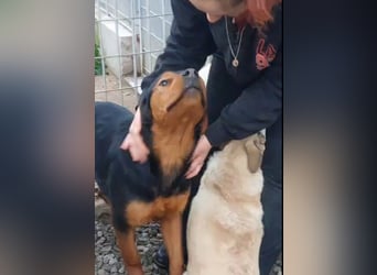 Bertone: trotz allem: er liebt Menschen über alles