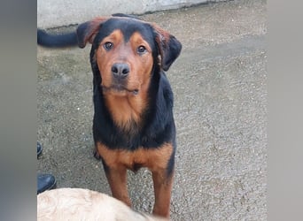 Bertone: trotz allem: er liebt Menschen über alles