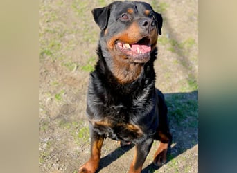 Baro LM Raus aus dem Heim rein ins Herz