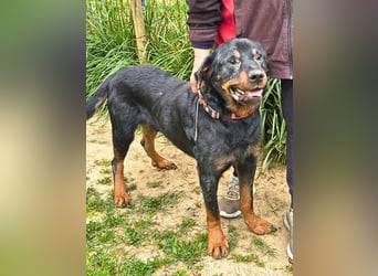 Togo -NOTFALL -  Und plötzlich war alles vorbei