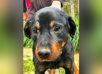 Togo -NOTFALL -  Und plötzlich war alles vorbei