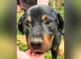 Togo -NOTFALL -  Und plötzlich war alles vorbei