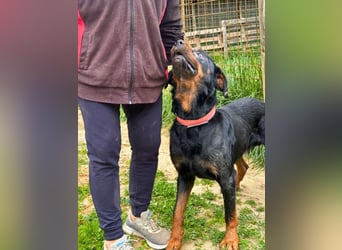 Togo -NOTFALL -  Und plötzlich war alles vorbei