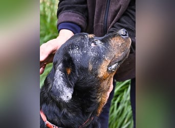 Togo -NOTFALL -  Und plötzlich war alles vorbei