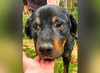 Togo -NOTFALL -  Und plötzlich war alles vorbei