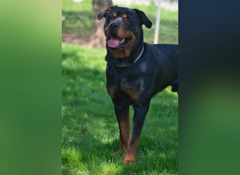 Oskar sucht seine Menschen