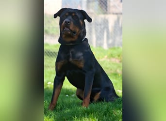 Oskar sucht seine Menschen