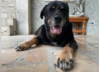 BODIN sucht Alterswohnsitz