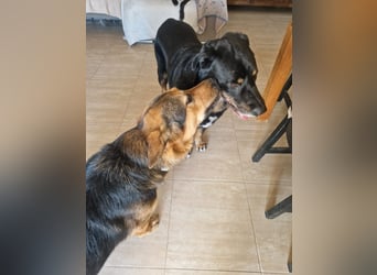 BODIN sucht Alterswohnsitz