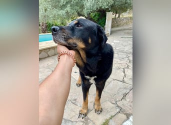 BODIN sucht Alterswohnsitz