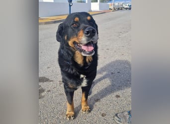 BODIN sucht Alterswohnsitz