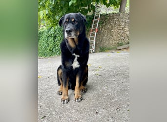 BODIN sucht Alterswohnsitz