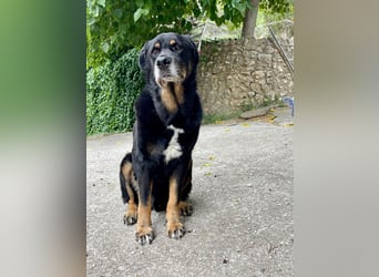 BODIN sucht Alterswohnsitz