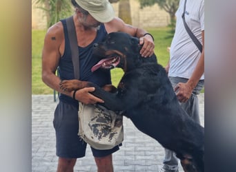 Rio – endlich runter vom Abstellgleis -