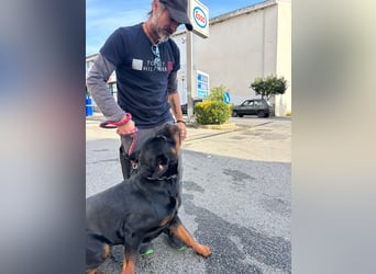 Rio – endlich runter vom Abstellgleis -