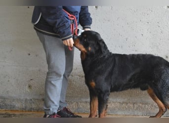 Anoop - Nichts, absolut nichts...