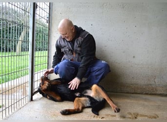 Anoop - Nichts, absolut nichts...