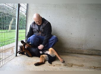 Anoop - Nichts, absolut nichts...