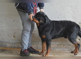 Anoop - Nichts, absolut nichts...