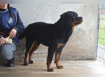 Anoop - Nichts, absolut nichts...