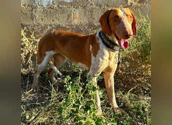 Ringo – Schluss mit der Opferrolle!