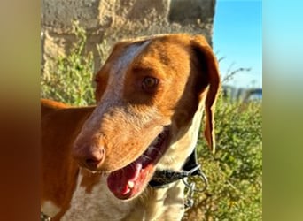 Ringo – Schluss mit der Opferrolle!