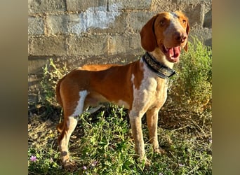 Ringo – Schluss mit der Opferrolle!