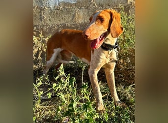 Ringo – Schluss mit der Opferrolle!