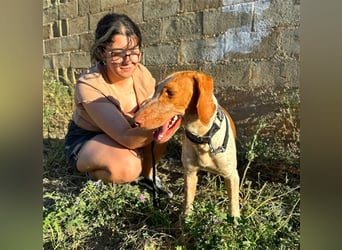 Ringo – Schluss mit der Opferrolle!