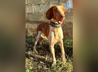 Ringo – Schluss mit der Opferrolle!