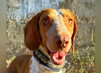 Ringo – Schluss mit der Opferrolle!