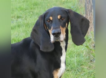 REX wurde geschlagen und musste hungern...