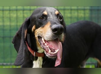 REX wurde geschlagen und musste hungern...