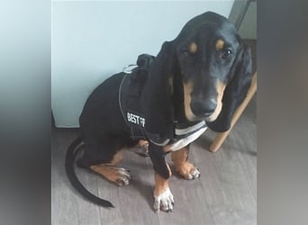 REX wurde geschlagen und musste hungern...