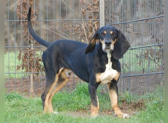 REX wurde geschlagen und musste hungern...