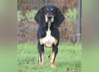 REX wurde geschlagen und musste hungern...