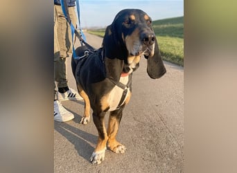 REX wurde geschlagen und musste hungern...