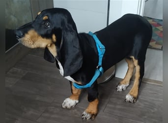 REX wurde geschlagen und musste hungern...