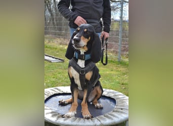 REX wurde geschlagen und musste hungern...