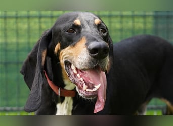 REX wurde geschlagen und musste hungern...