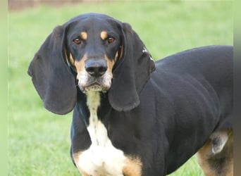 REX wurde geschlagen und musste hungern...