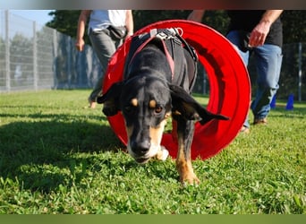 REX wurde geschlagen und musste hungern...