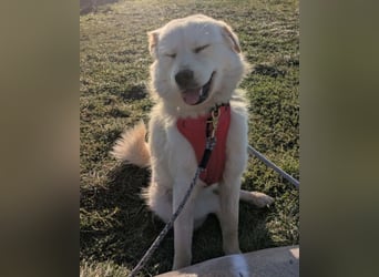 Cindy ❤️ wartet in 12529 Schönefeld